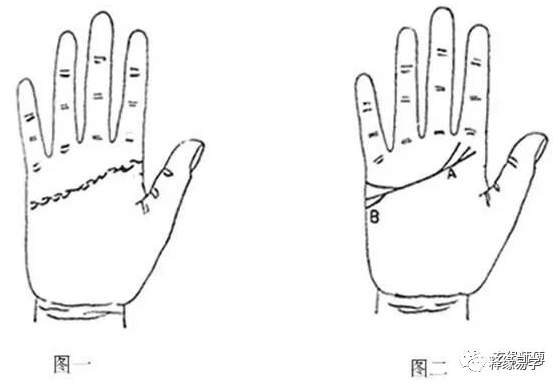 财富线手相图解_手相健康图解_手相健康线图解女人
