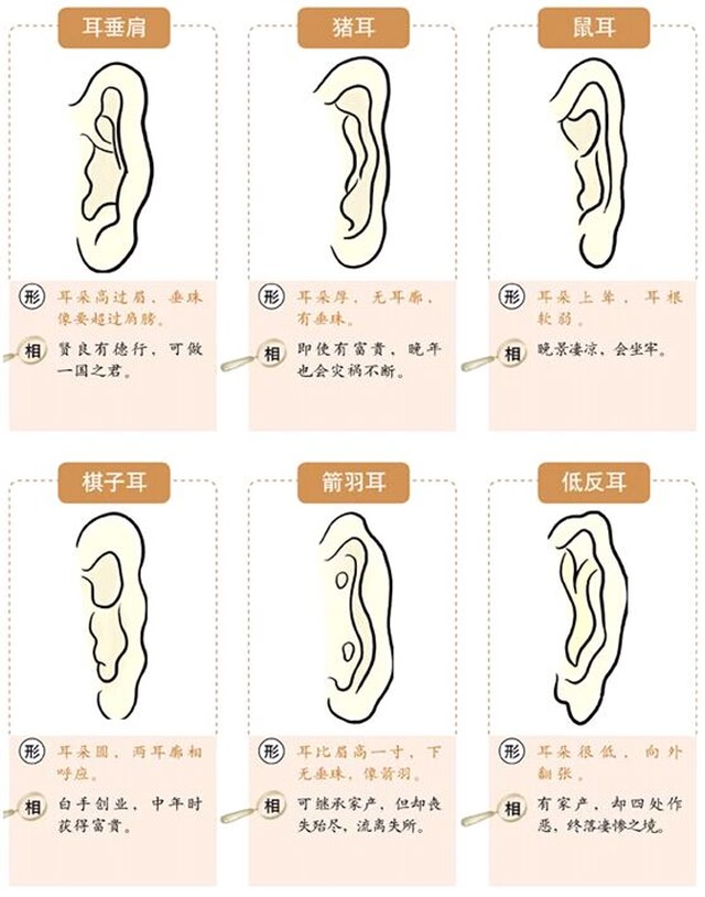 大耳垂面相_耳朵大耳垂厚的面相_耳垂大而且厚 有福