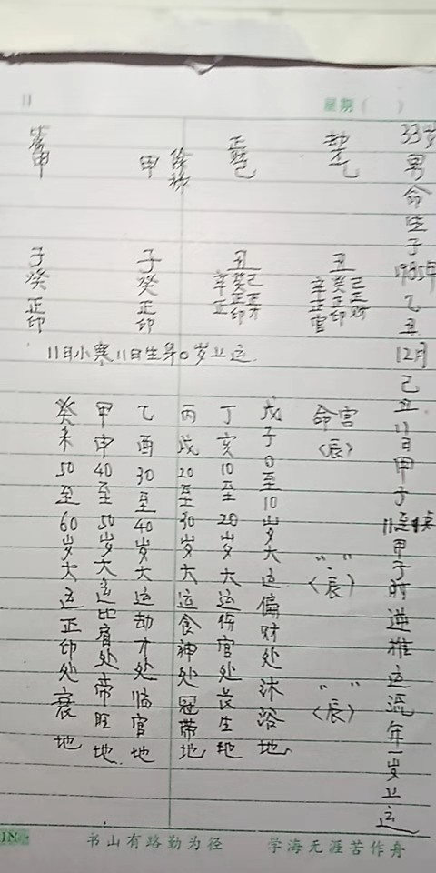 何超莲八字 己卯日_减字木兰花·己卯儋耳春词_乙丑日己卯时