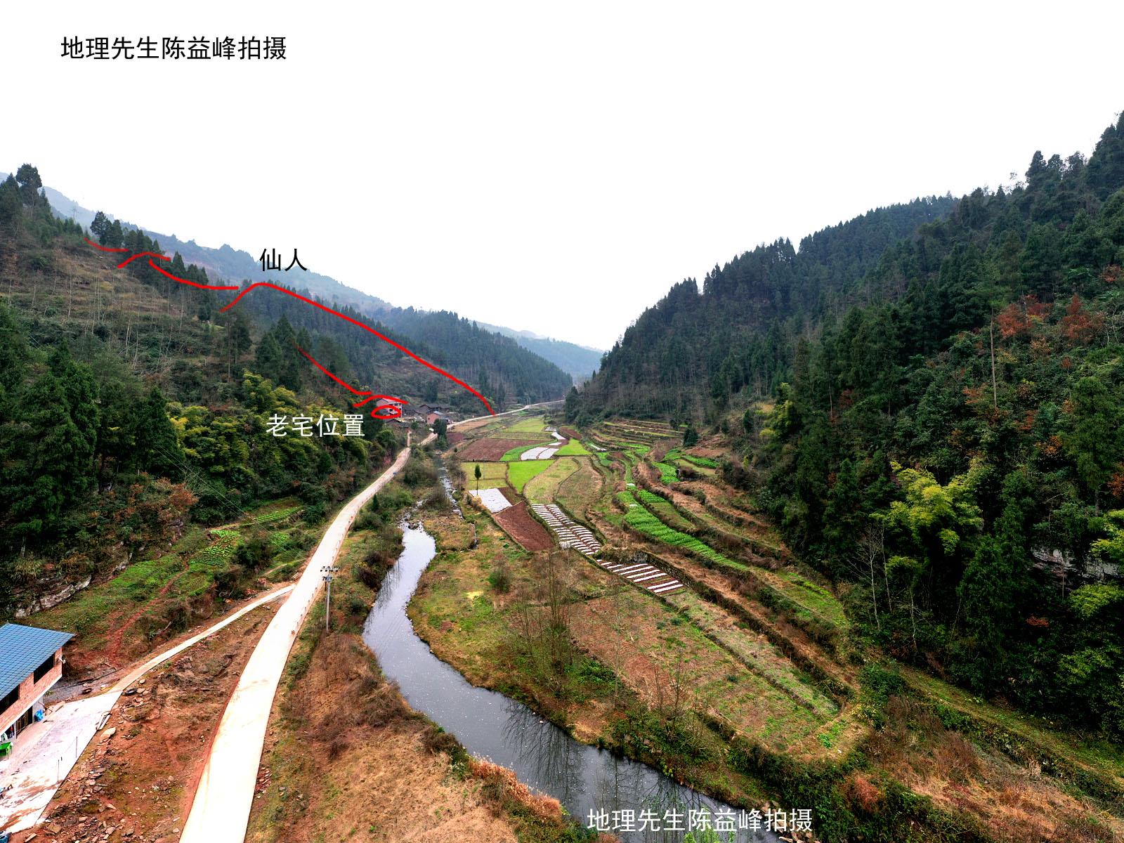 农村风水树_芭蕉树风水_苹婆树是风水树吗