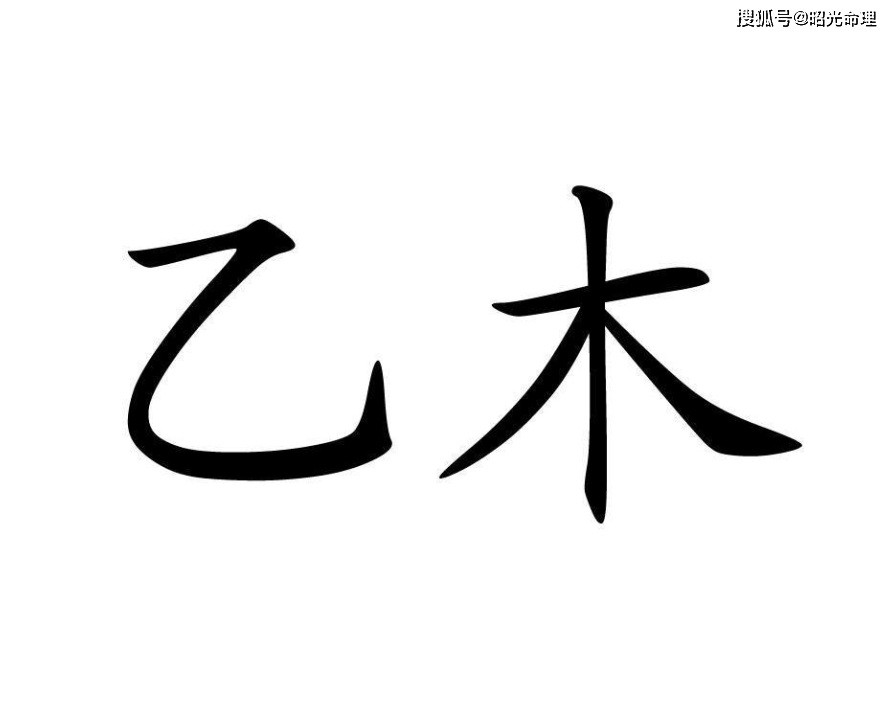 乙木生于各月的八字_八字命理大富贵乙木_乙木日元大富的八字