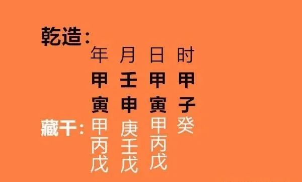 宫崎寅藏属于什么生肖_藏木于林 藏水于海_寅木藏干各管几天