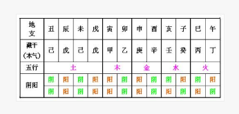 寅木藏干各管几天_宫崎寅藏生肖_寅刑巳地支藏干之间的作用