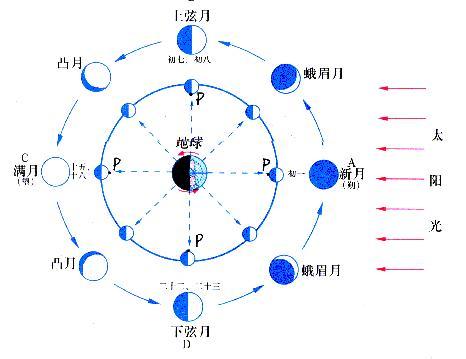 公元1987年10月8日的甲子是什么_丙辰年丁酉月甲子日_甲辰 丁亥 丁酉 丙辰的女命理