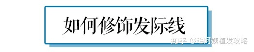 额头窄下巴宽方面相_额头窄下巴宽面相_额头窄颧骨宽下巴短