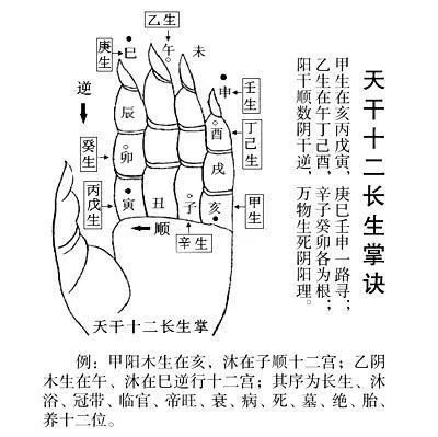 壬寅年 壬寅月 壬寅日 壬寅时_胡寅寅_壬在寅十二长生