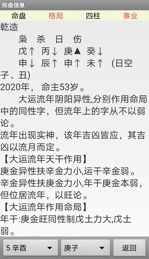 天乙 福星 将星 灾煞 童子 天医_大运有灾煞_时柱灾煞是什么意思