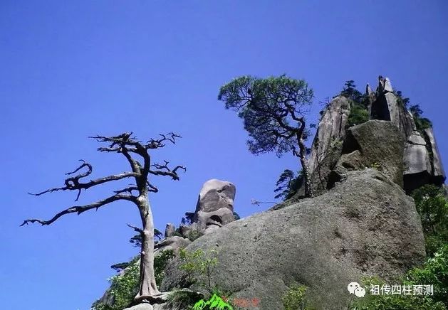 癸巳日己未时好不好_壬辰日 丁未时_我们,离婚吧未时呢