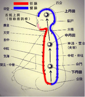 气脉走向图图片