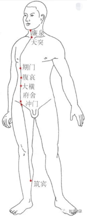 阳维脉循行路线图图片