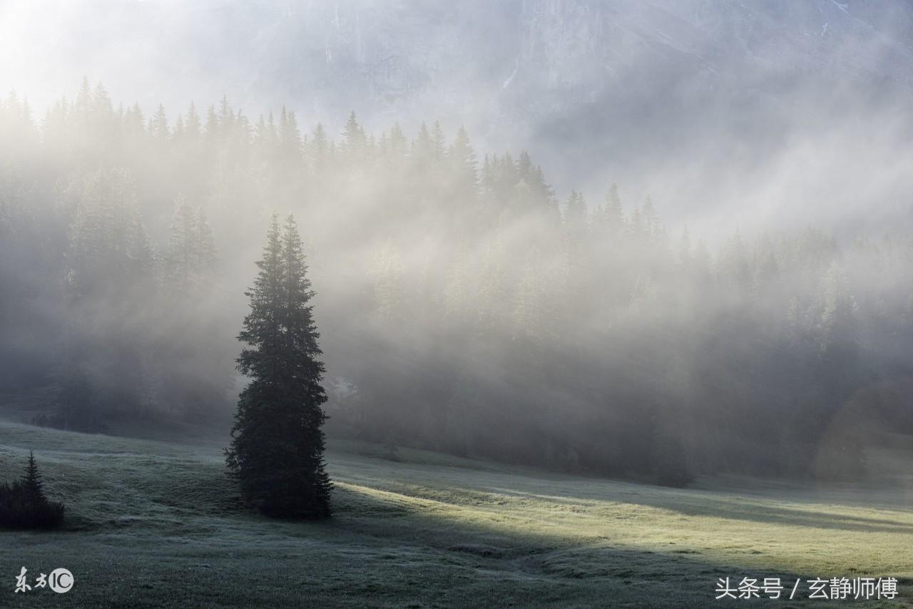 生辰八字算流年运势怎么看_八字流年运势怎么看_八字测流年运势安康网