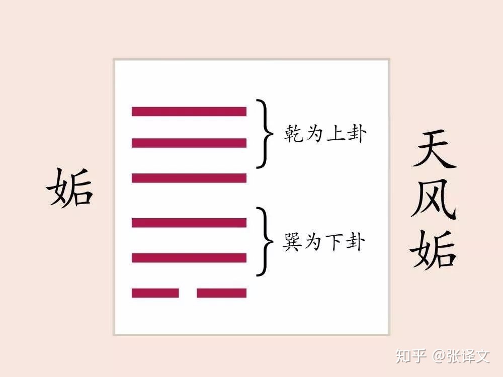 姤卦感情_姤卦易经六十四卦详解查询_皇极经世姤卦