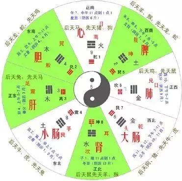 坤卦卦象图_泽坤卦图_64卦图火泽暌第五爻详解