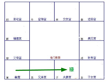 父母宫禄存图片