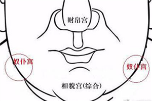 紫薇破军在奴仆宫_紫薇破军入迁移宫_紫薇破军在福德宫