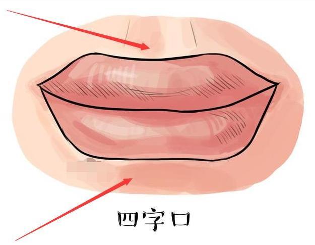 女人嘴巴大面相_小嘴巴面相_面相 嘴巴面相图解
