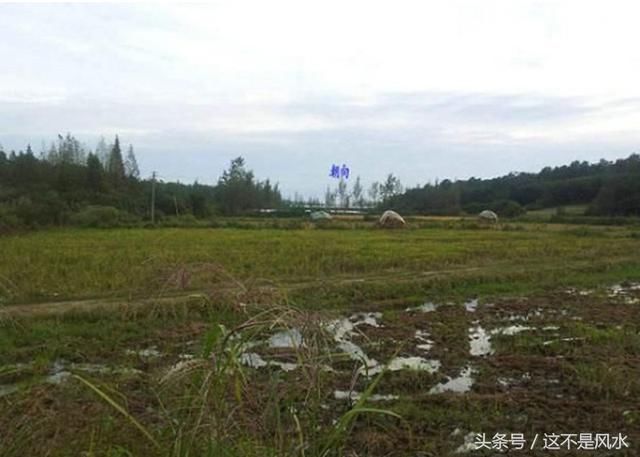 平原看坟地风水看多远_看平原村庄风水_平原祖坟风水怎么看