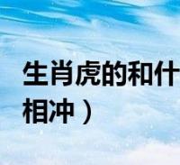 冲煞鸡日冲兔煞东是什么意思_什么生肖和兔相冲_兔六冲是什么生肖