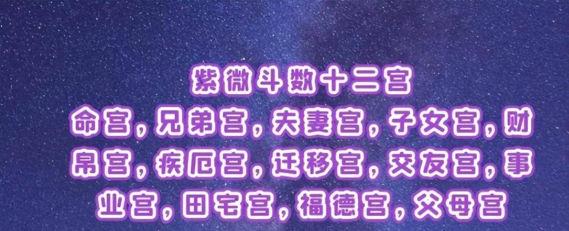 紫薇斗数看职业方向_紫微斗数看事业辉煌_斗数看配偶对你的态度