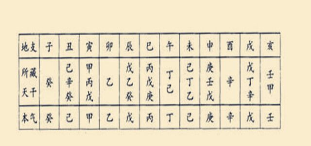 施寅寅_乙木遇寅_乙木生于寅年未月酉日