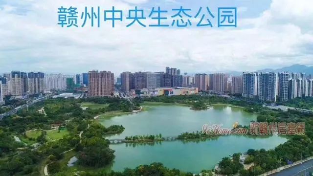 都市阴阳风水师_十六字阴阳风水秘术之慑字卷_阴阳代理人之改命师 和 阴阳代理人