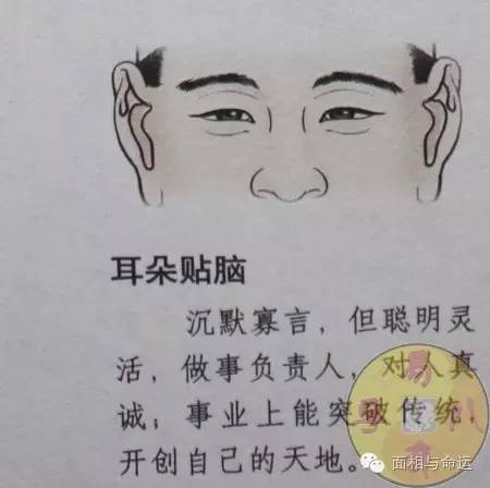 鼻子高挺的女人面相_耳朵在鼻子上面面相女人_女人鼻子面相图解