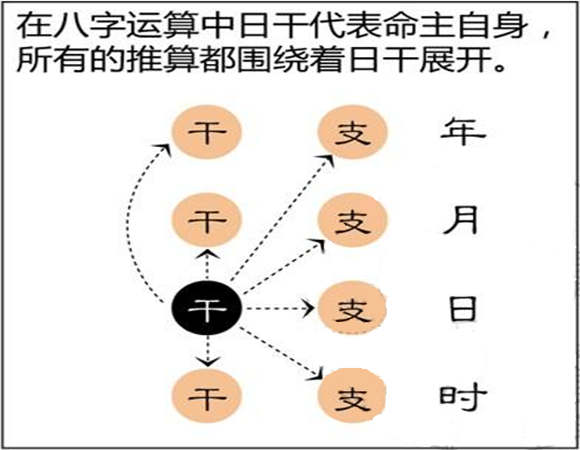 癸巳夫妻宫 男 正財 食神格_八字格局食神格_食神格食引财官