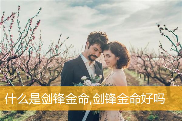 命宫癸酉剑锋金_癸酉年生剑锋金命_剑锋金遇什么是上等命