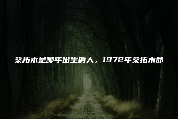 桑柘木是哪年出生的人，1972年桑拓木命