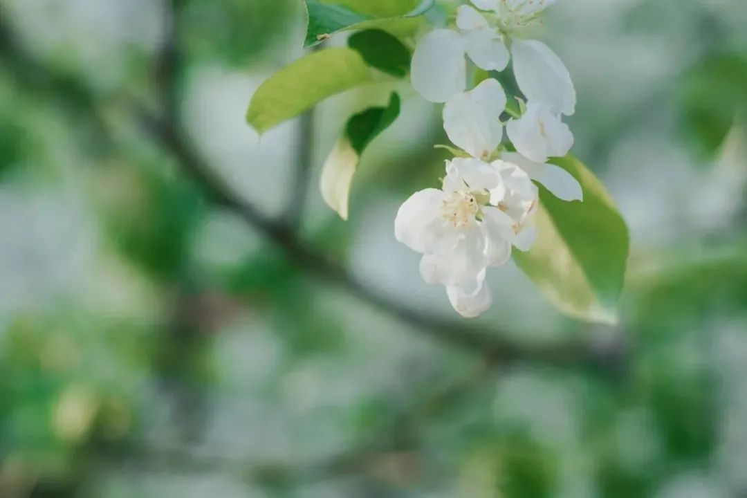 女命八字三个正财_男命八字有两个正财_男命只有偏财没有正财