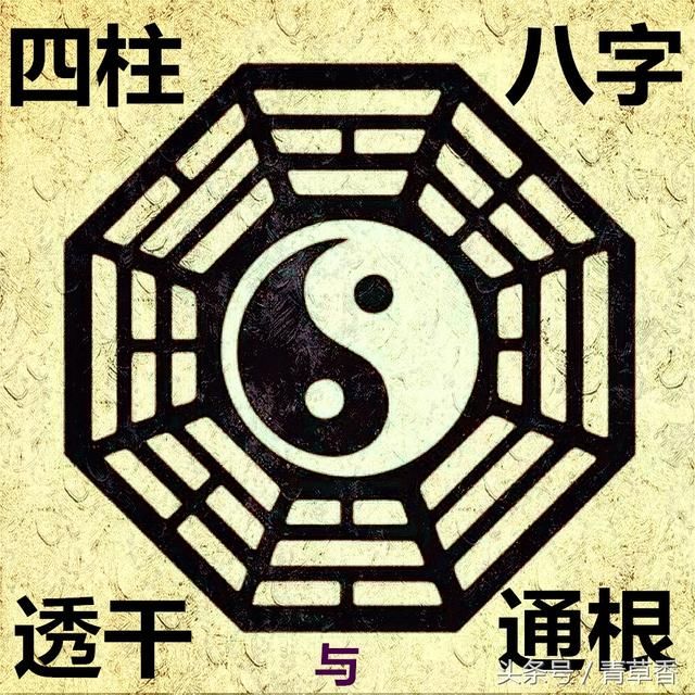 八字轻重_怎样算八字轻重_八字轻重怎么算