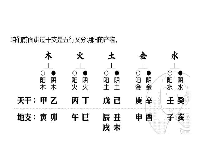 天干地支钟表_流年看天干还是地支_天干五行,地支五行