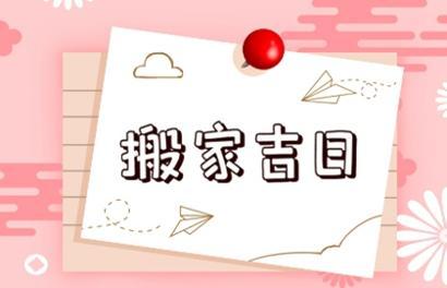 属马的今年财运如何_属龙的今年财运如何_94属狗今年财运