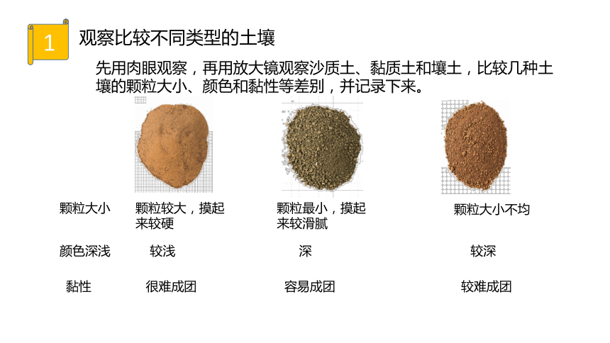 土命沙中土是啥意思_炉中火和沙中土命婚姻_沙中的土命是什么意思