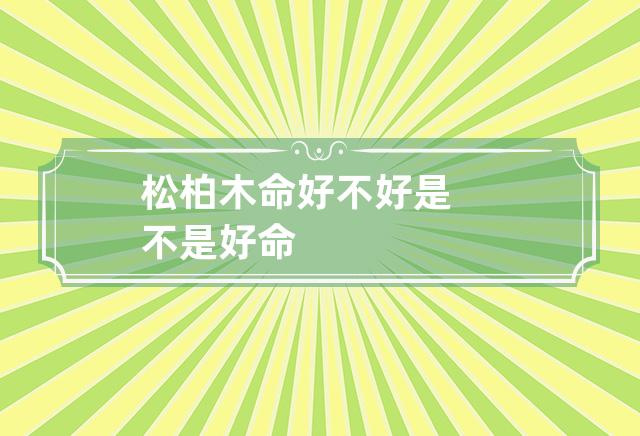 木命里面哪种木命最好_什么命最旺杨柳木_五行水旺缺木是什么命