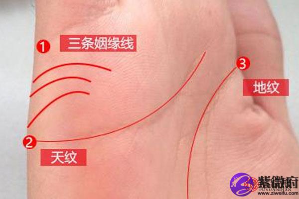 男人手相财运线图片_掌纹图解财运线图片_哪条是财运线