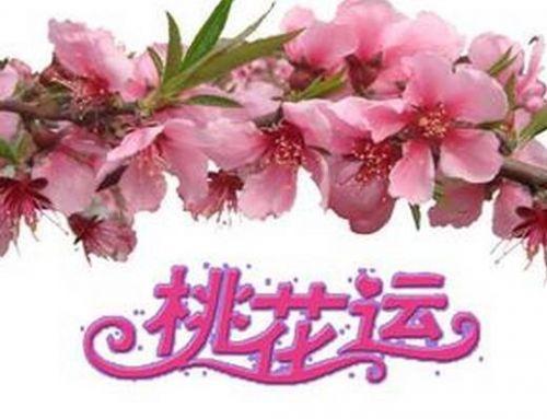 四柱算桃花_四柱八字测桃花_八字四柱桃花怎么看