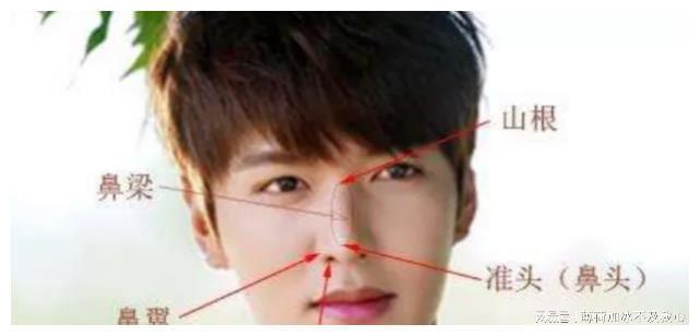 男生鼻型分类图图片