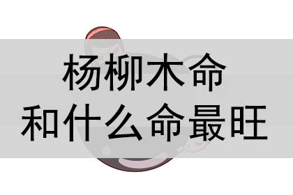 慈世堂 剑锋金命和大林木命相配吗