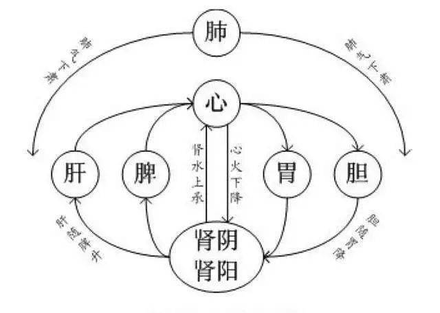 阴阳金木水火土中医_木金火土水在中医里面的阴阳_中医的水木金火土是指