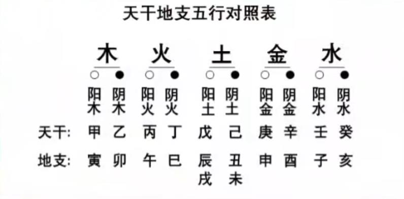 阴阳地支五行属性表图片_十二地支阴阳五行属性表_地支阴阳五行所属