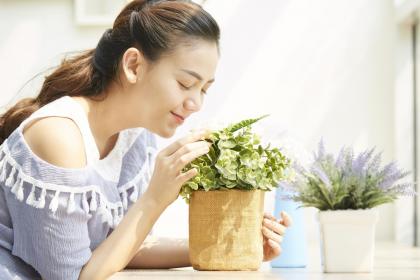 癸天干的贵人_癸水的天乙贵人是什么_癸水的天德贵人