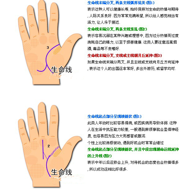 副生命线图解图片