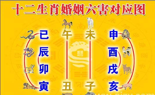 男女合八字是迷信吗_合八字男女是什么关系_男女合八字是怎么合的