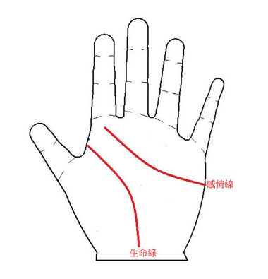 小宝宝智慧线很短_婴儿手掌智慧线断开_小婴儿看手相智慧线