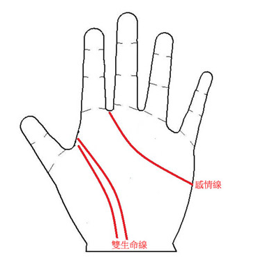 婴儿手掌智慧线断开_小宝宝智慧线很短_小婴儿看手相智慧线