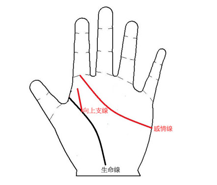 小宝宝智慧线很短_小婴儿看手相智慧线_婴儿手掌智慧线断开