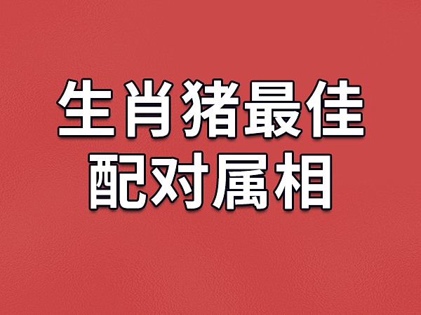 属龙的相冲相害_龙的相害相冲_属龙和什么生肖相冲相害