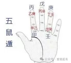 土虎起名_八字虎喜土宝宝名字怎么取_虎宝宝八字喜土的名字