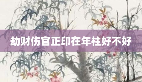 劫财伤官正印在年柱好不好